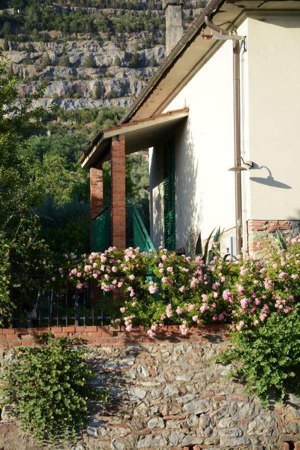 Casa1 Villa Monsummano Terme Bagian luar foto